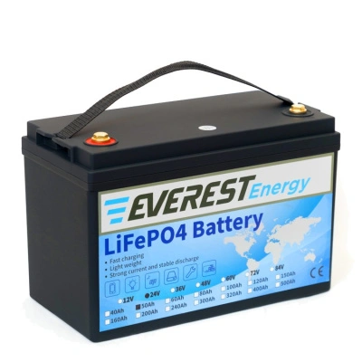 Everest LFP-24V 50Аh литиевый тяговый аккумулятор 